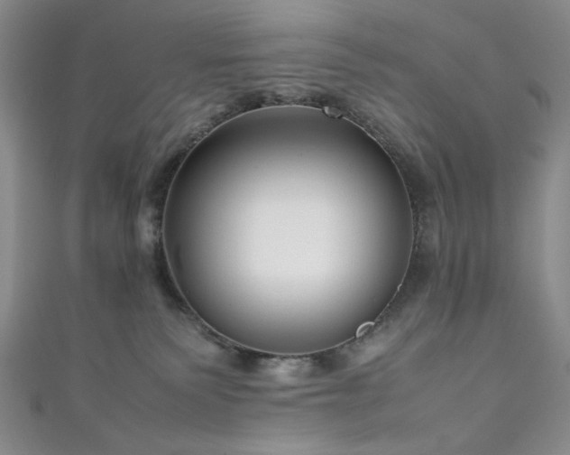 X0000111190135200907011420