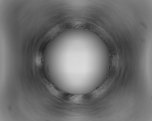 X0000111190138200907011419