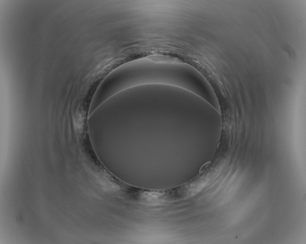 X0000111190139200907011419