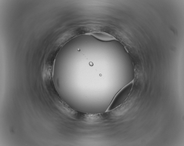 X0000111190141200907011419