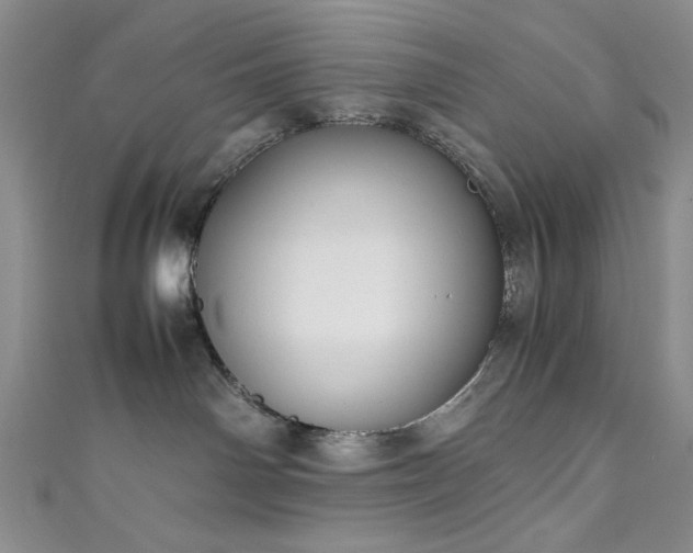 X0000111190142200907011419