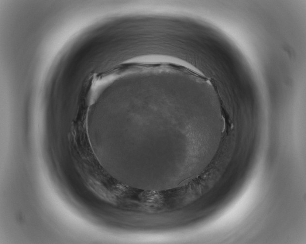 X0000111190143200907011419