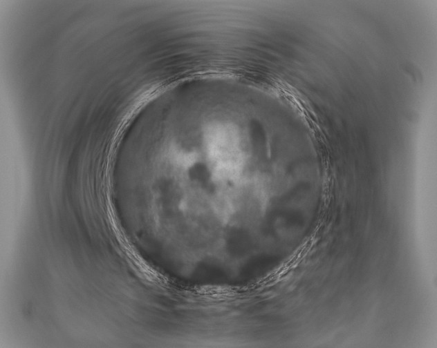 X0000111190145200907011419