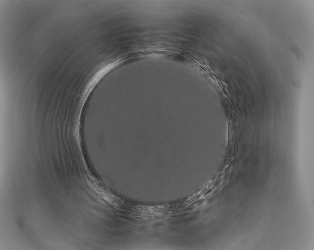 X0000111190147200907011419