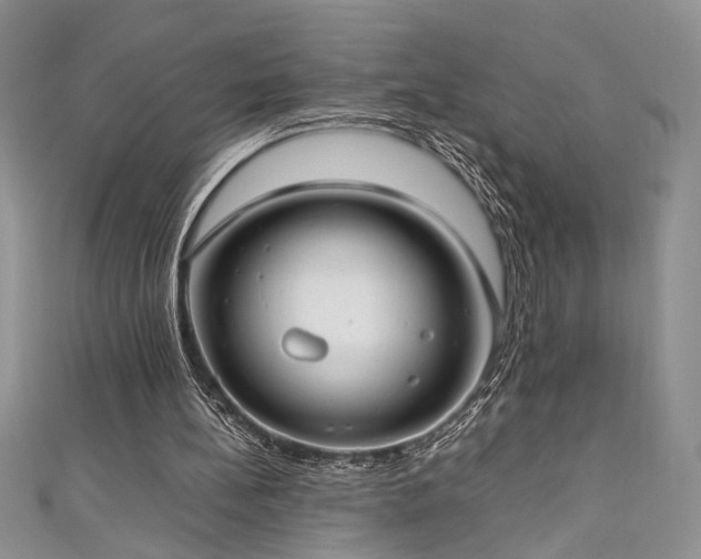 X0000111190148200907011419