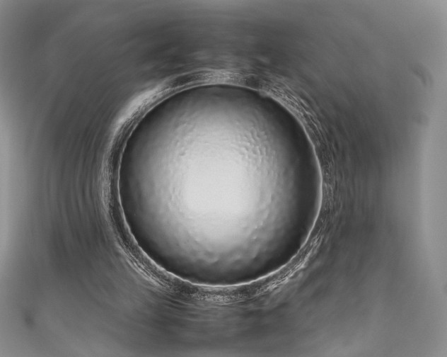 X0000111190149200907011419