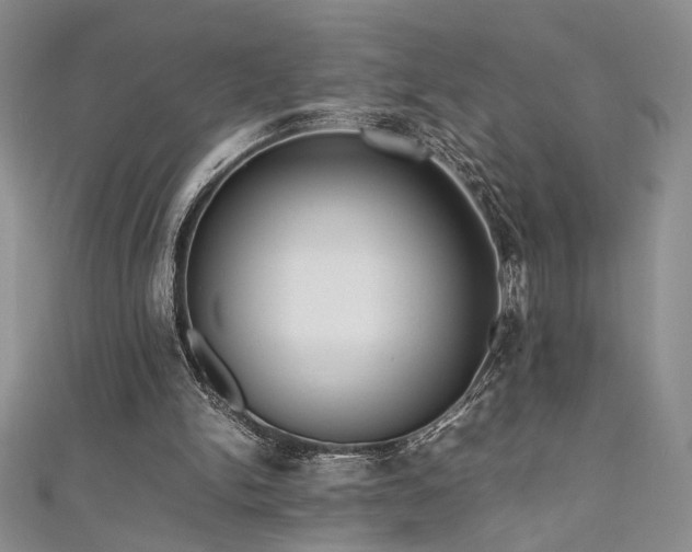 X0000111190150200907011419