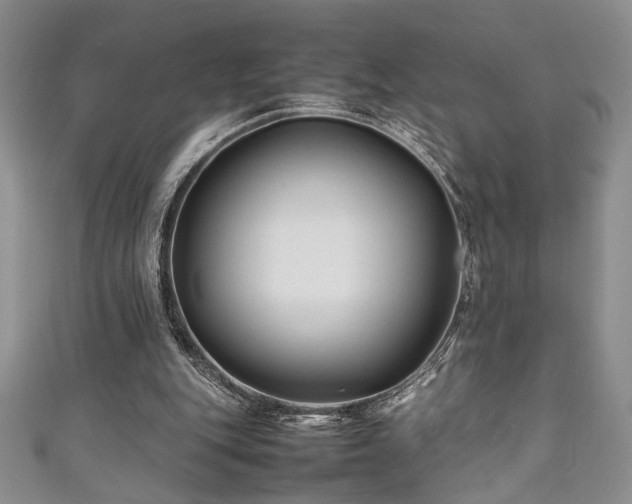 X0000111190151200907011419