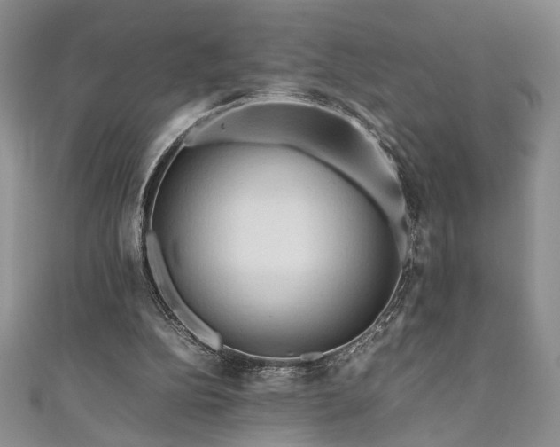 X0000111190152200907011419