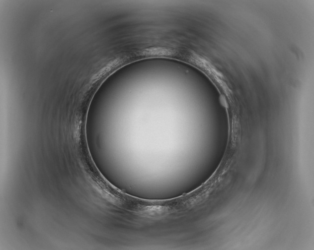 X0000111190153200907011419