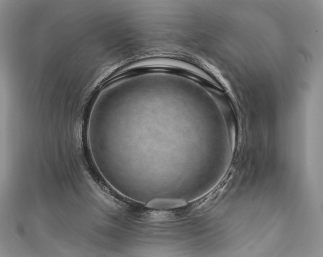 X0000111190154200907011419