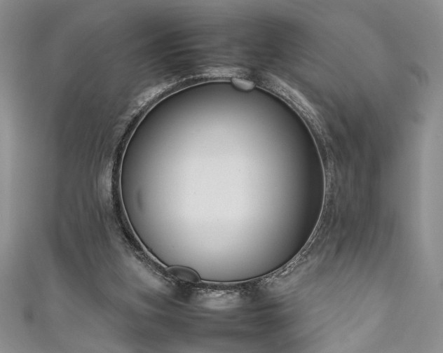 X0000111190155200907011419