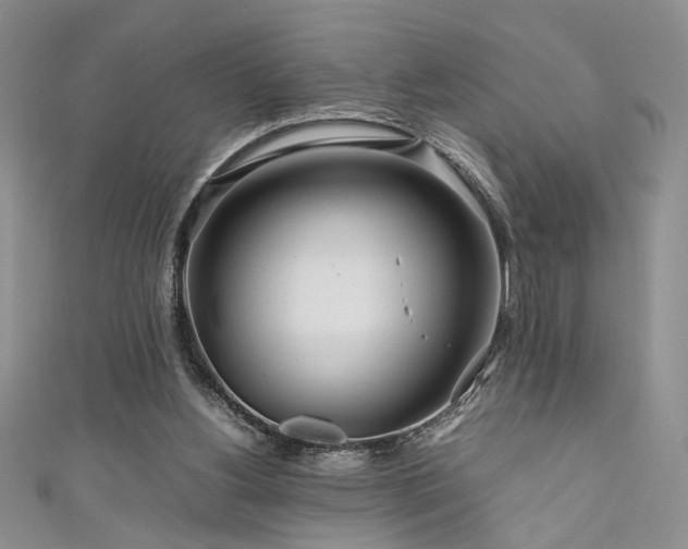 X0000111190156200907011419