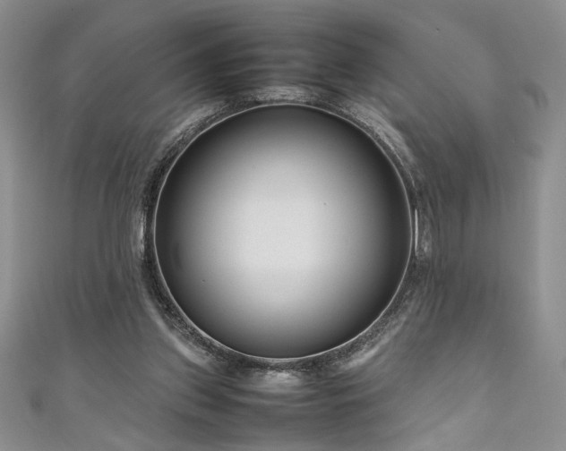 X0000111190157200907011419