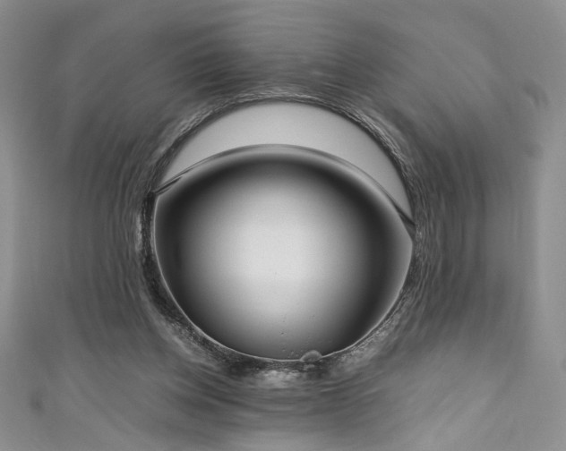 X0000111190158200907011419