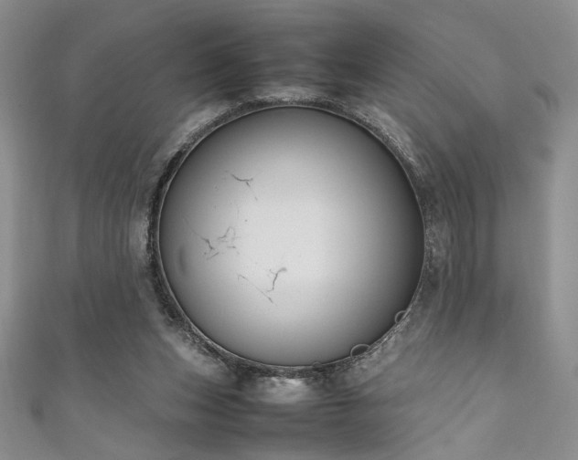 X0000111190159200907011419