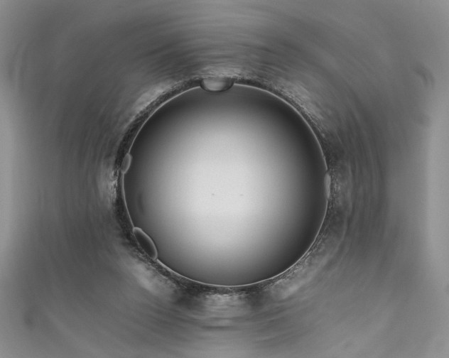 X0000111190160200907011419