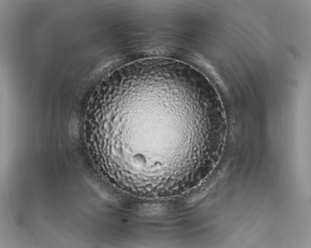 X0000111190161200907011419