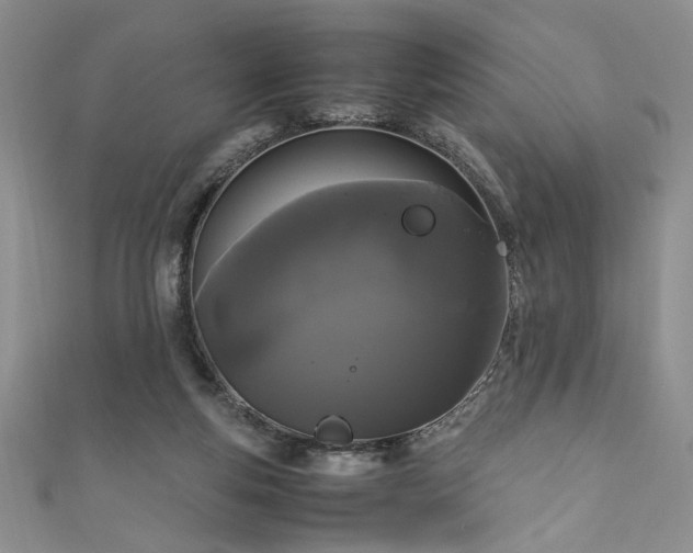 X0000111190163200907011419