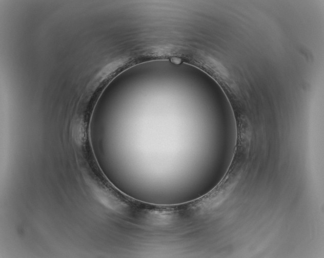 X0000111190164200907011419