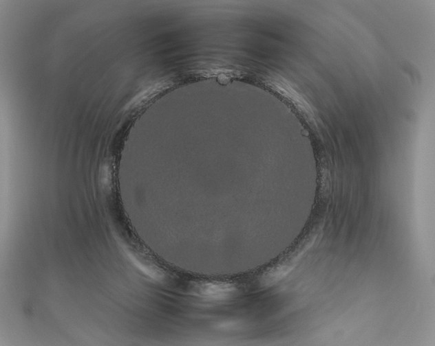 X0000111190165200907011419