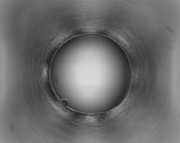 X0000111190166200907011419