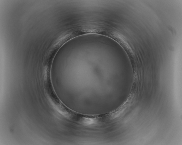 X0000111190167200907011419