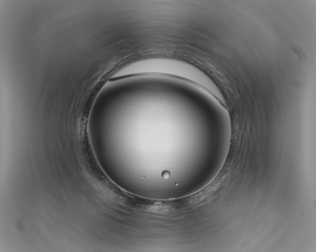 X0000111190168200907011419