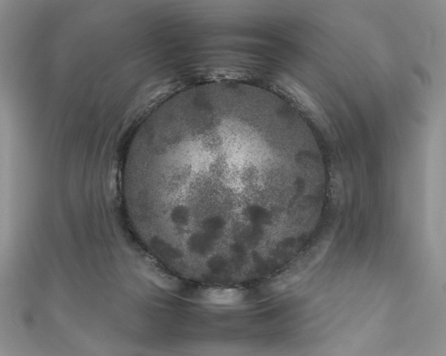 X0000111190169200907011419