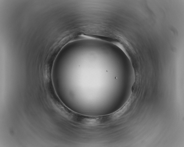 X0000111190170200907011419