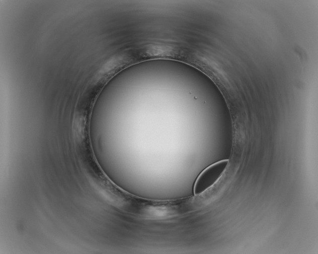 X0000111190171200907011419