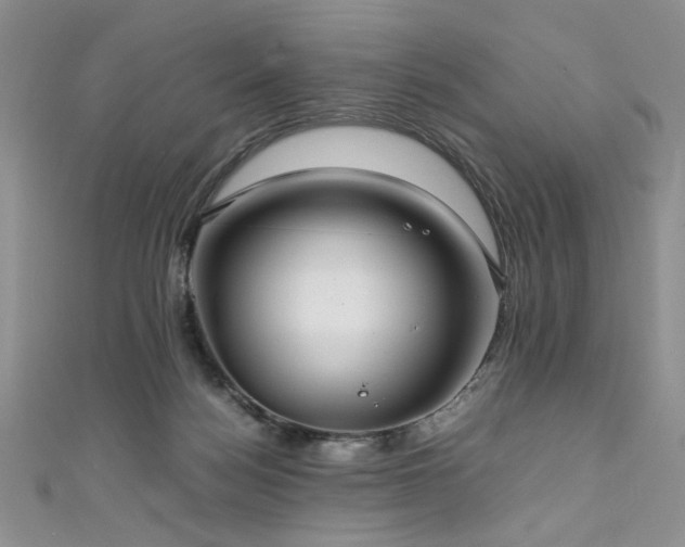 X0000111190172200907011419