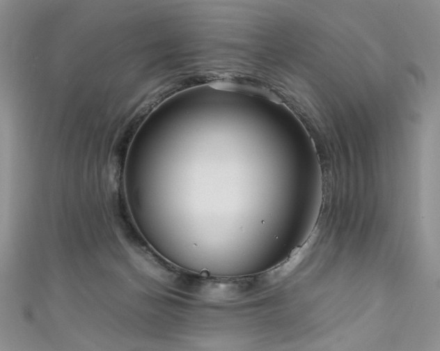 X0000111190174200907011419