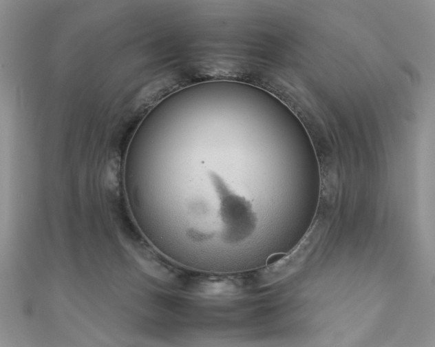 X0000111190175200907011419