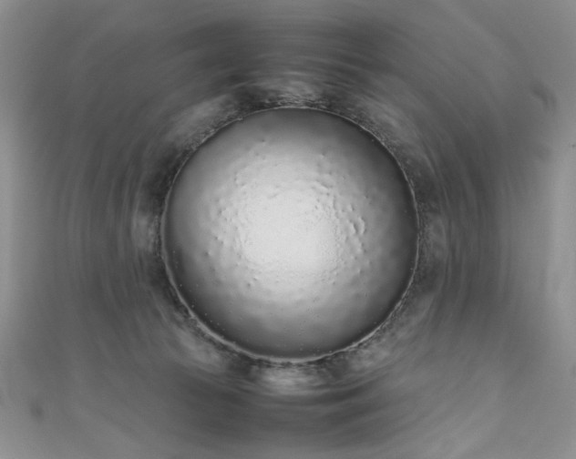 X0000111190177200907011419