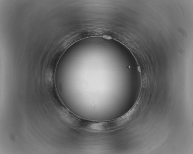 X0000111190178200907011419