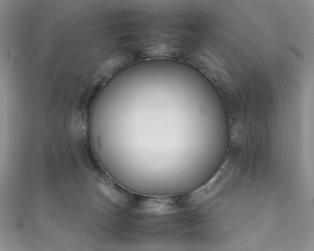 X0000111190179200907011419