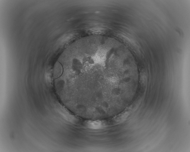 X0000111190181200907011419