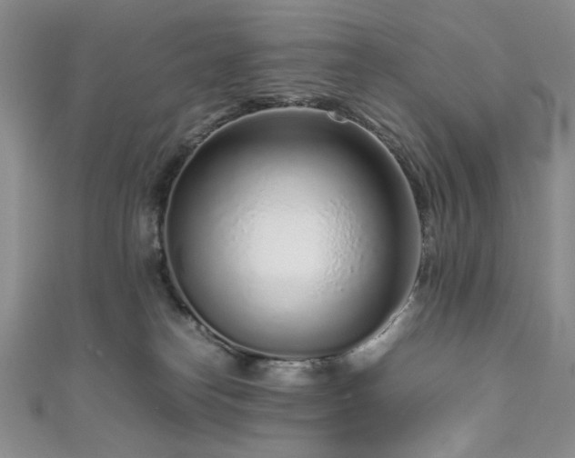 X0000111190182200907011419