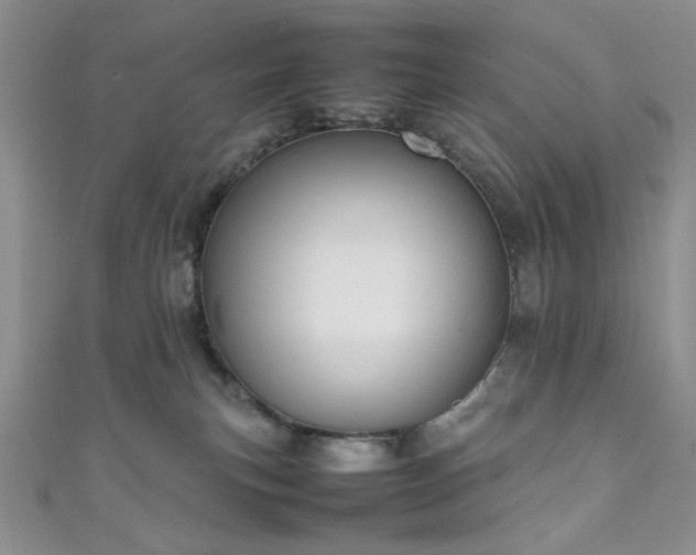 X0000111190183200907011419