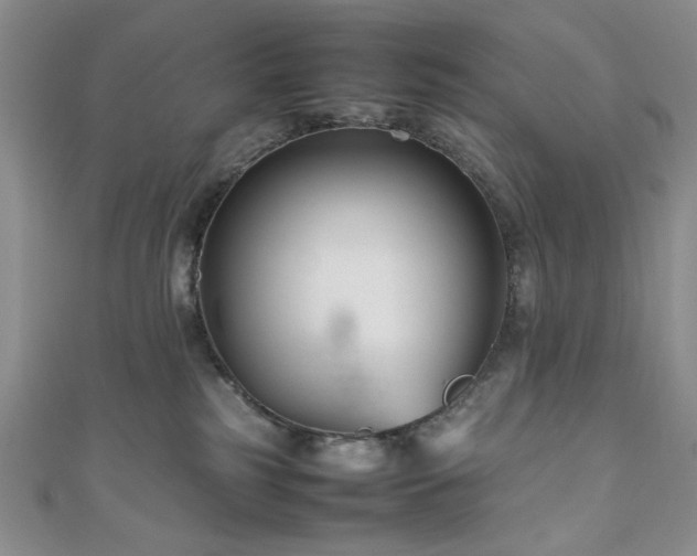 X0000111190185200907011419