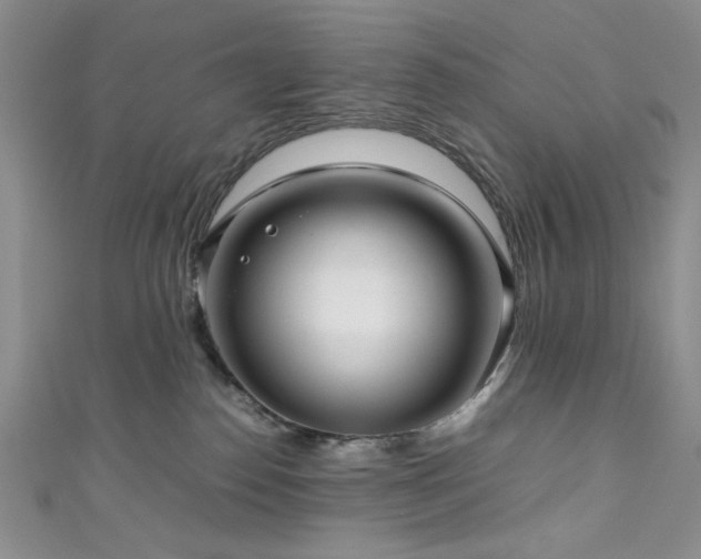 X0000111190186200907011419