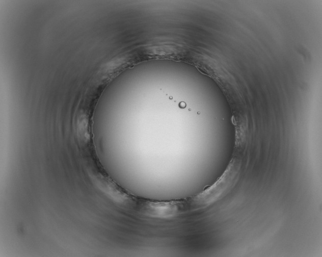 X0000111190187200907011419