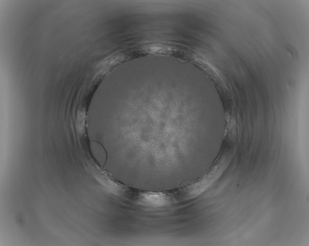 X0000111190189200907011419