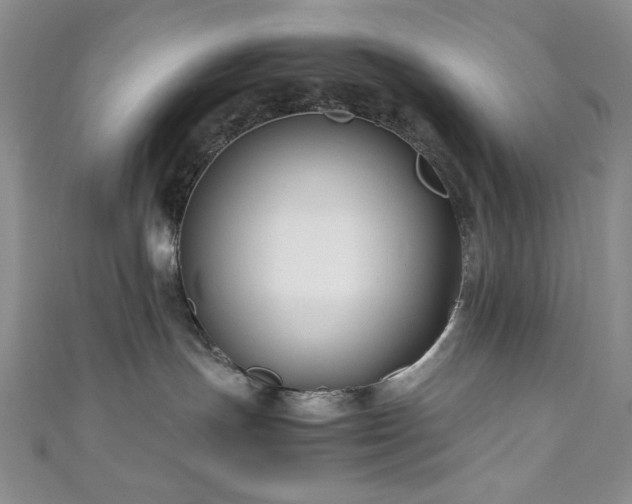 X0000111190191200907011419