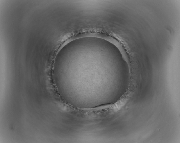 X0000111190192200907011419