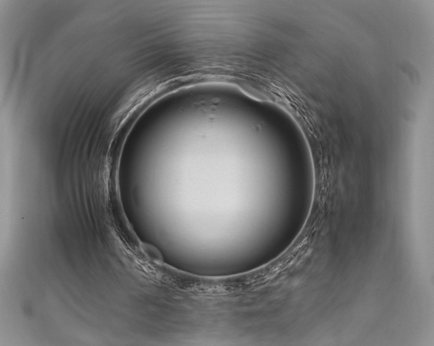 X0000111190194200907011419