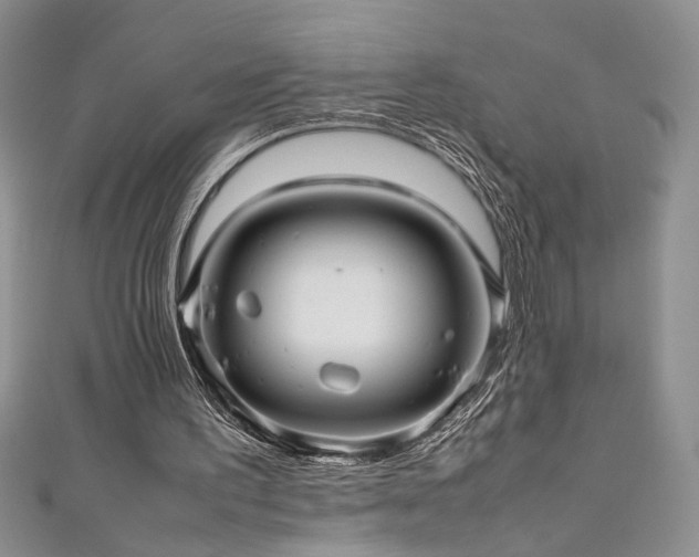 X0000111190195200907011419