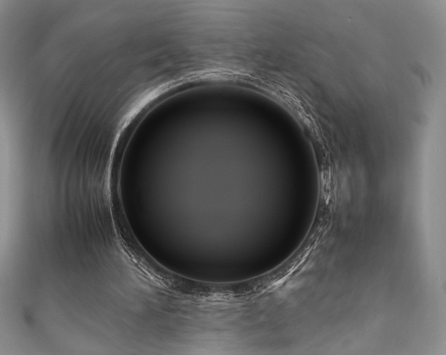 X0000111190196200907011419