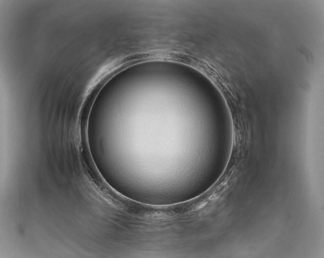 X0000111190198200907011419